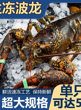 波士顿野生水产鲜活速冻大龙虾