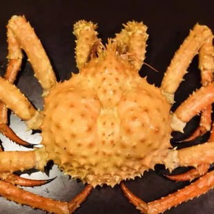 冰鲜俄罗斯帝王蟹棕帝王蟹金帝王蟹长脚蟹大螃蟹