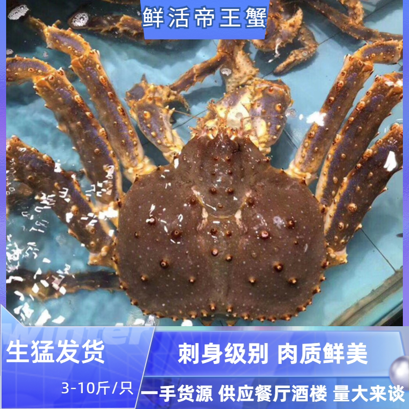 鲜活帝王蟹长脚蟹一手货源