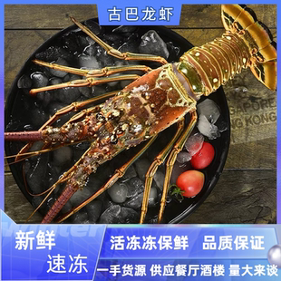 生冻古巴龙虾新鲜活冻巴西超特大龙虾小蜜蜂龙虾高档海鲜年货送礼