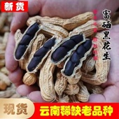 新货云南黑花生500g带壳黑花生米富硒黑皮花生种子农家原味七彩