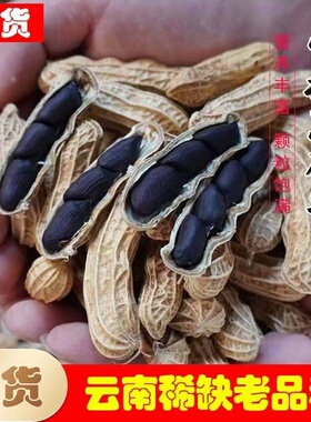 新货云南黑花生500g带壳黑花生米富硒黑皮花生种子农家原味