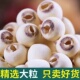 去芯莲子500g干货银耳莲子羹 新货湘莲 大颗粒 正宗无硫磨