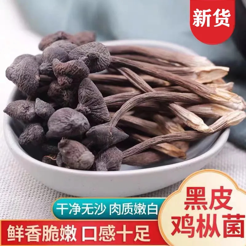 黑皮鸡枞菌500g香蘑菇食用菌