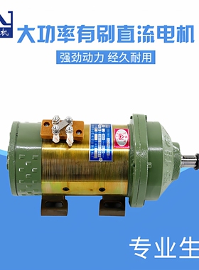 三轮电动车电机直流串励电机24v600w48V1120W60v1200w工程车电机