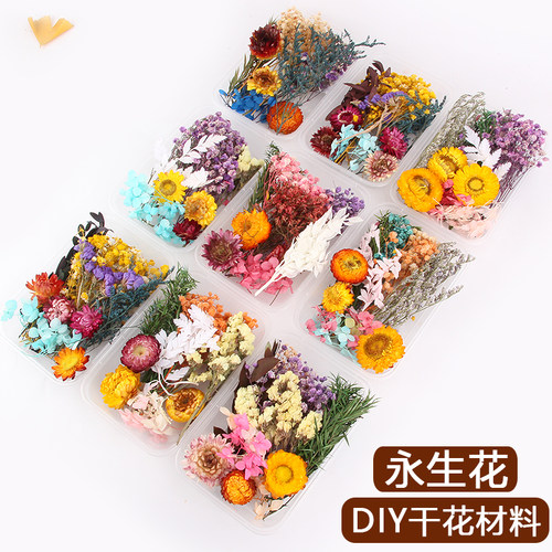 diy干花材料包混装花盒相框干花团扇花材包家居装饰手工花束真花