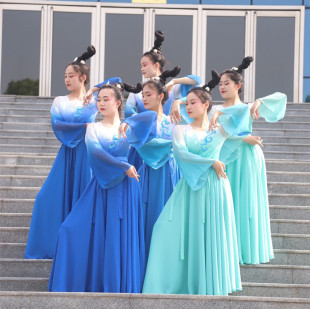 古典舞演出服青山远黛剧目舞蹈服飘逸大摆裙女子群舞演出服饰 新款