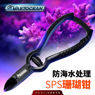 VASTOCEAN黑色珊瑚剪刀sps剪刀防海水鱼缸工具剪镊子剪珊瑚钳直剪