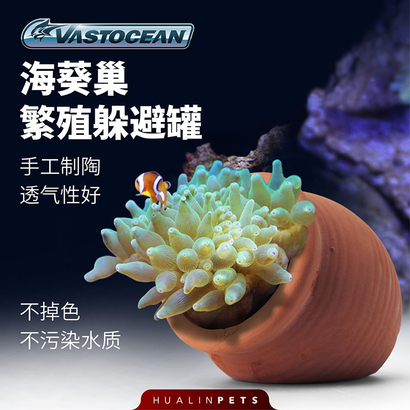 Vastocean海葵巢繁殖躲避罐产卵罐手工制陶透气性好陶土手工制作