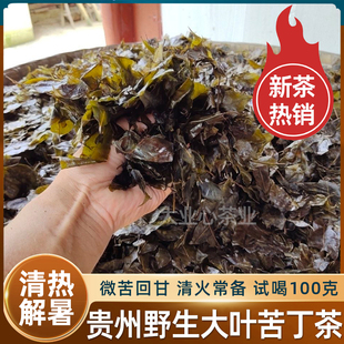 正品2025贵州茶苦丁茶大叶苦丁茶农家老叶苦丁茶泡茶茶叶1斤简装