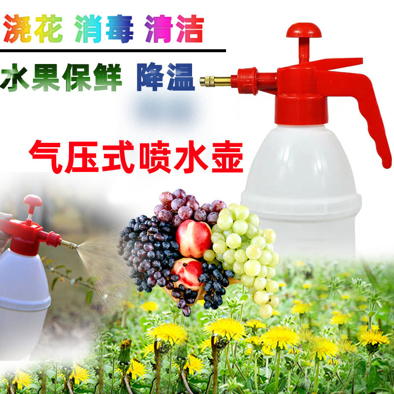 气压安之源式喷水壶花洒消毒清洁专用水果保鲜保湿家用商用包邮