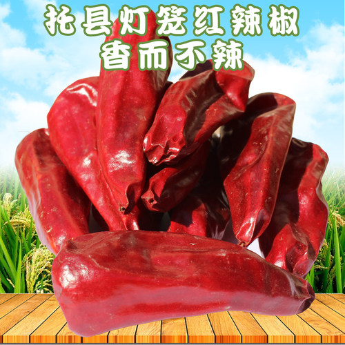香而不辣简单托县红辣椒农家种植