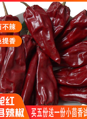 2025新辣椒托县农家灯笼红大干整辣椒香而不辣出红油250g火锅底料
