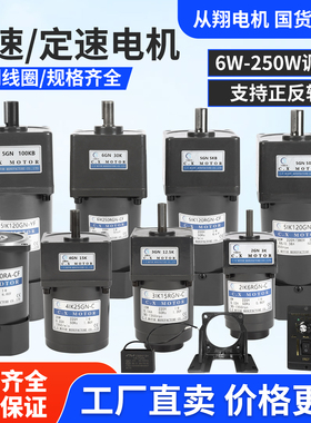 6W-400W调速减速电机传送输送带小型机单相220V可调变速齿轮马达
