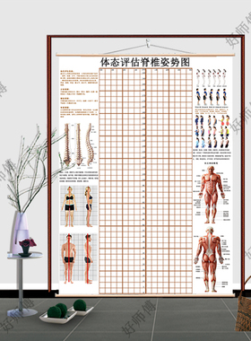 现货体态评估图瑜伽 体姿体态评估系统中医理疗馆脊椎姿势对比图