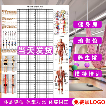 体态评估表挂式贴式体测健身房瑜伽馆私教身高臂展网格身体对比图