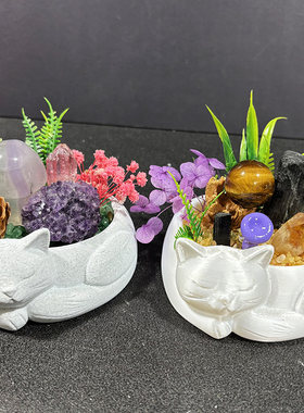 慵懒睡猫 水晶盆景 DIY 干花绿植迷你造景卧室治愈桌面小盆栽