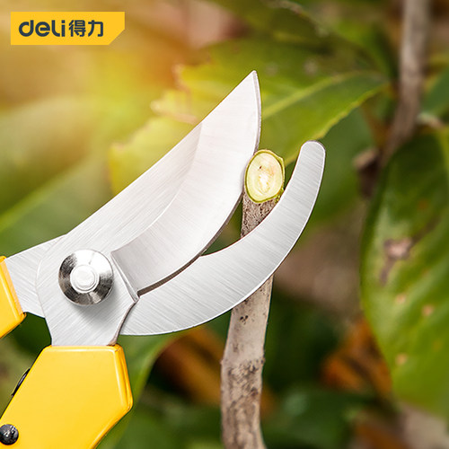 得力园艺剪刀修枝剪树枝剪园林剪花艺剪果树剪强力花木剪修花神器