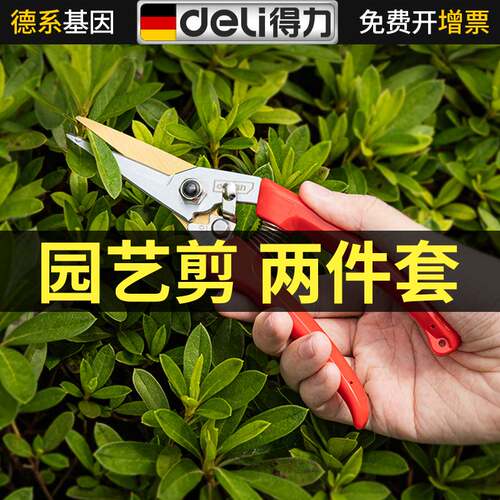 得力省力修花剪刀园艺剪2件套修枝剪果园林家用树枝花卉剪子工具