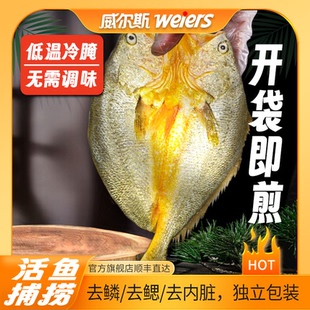 威尔斯醇香黄鱼鲞大黄鱼宁德黄花鱼冷冻海鲜黄鱼200g*6条共1200g
