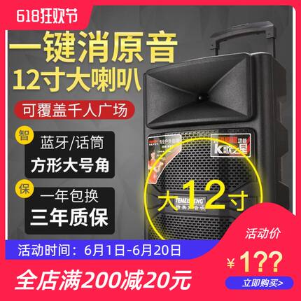 特美声蓝牙大功率户外广场舞12寸移动音箱带无线话筒家用演出音响