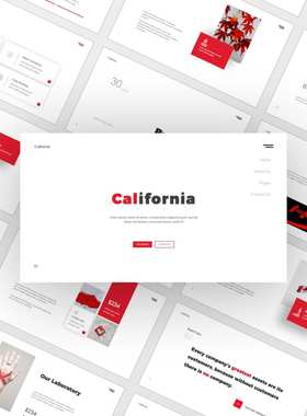 【公司简介】红色商务ppt模板keynote目录企业现代专业年度报告
