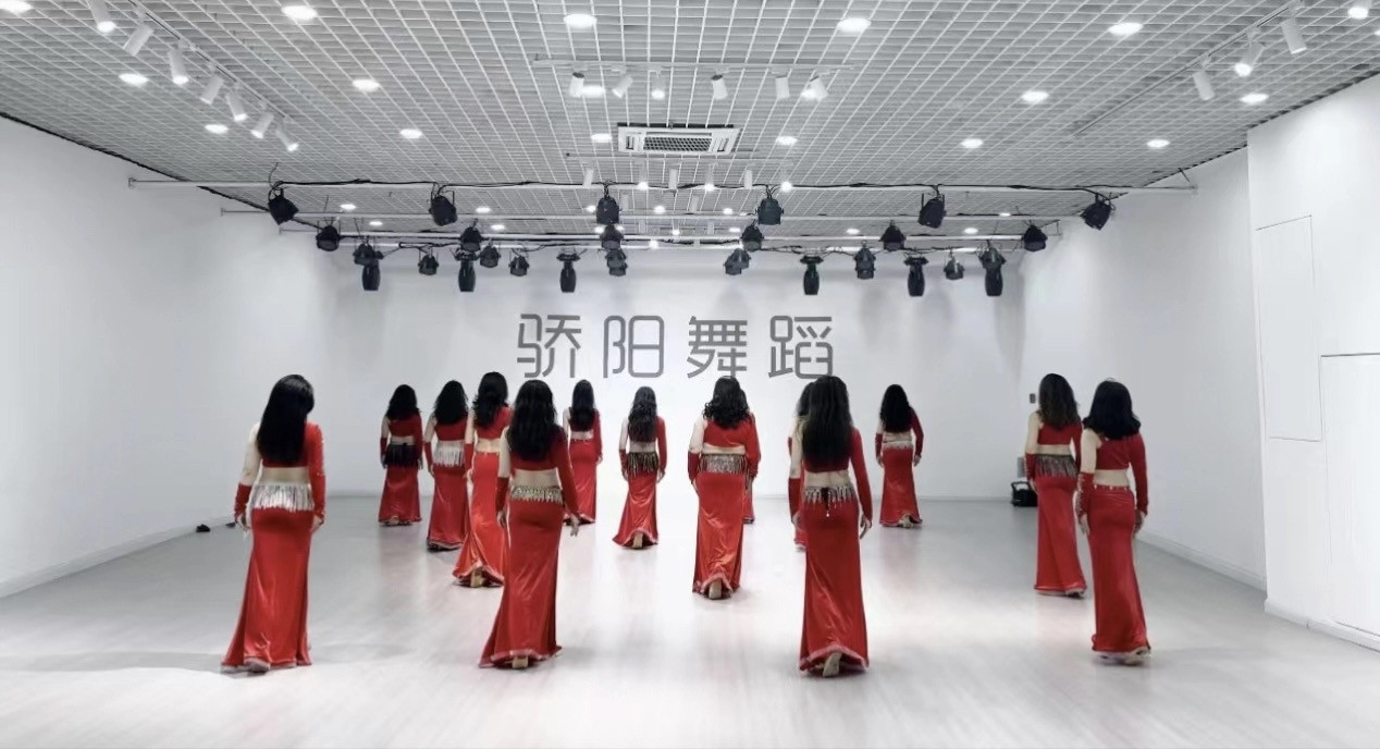 肚皮舞服装新款女豪华闪亮演出服装表演服套装女东方舞服名师同款