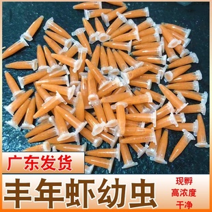 冰冻丰年虾卵 免孵化幼虫 卤幼冷冻丰年虫 鱼苗鱼食活的开口饲料