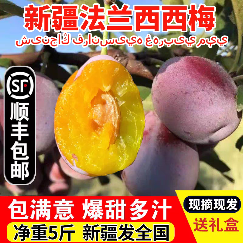 正宗新疆西梅水果新鲜法兰西西梅超甜孕妇布林李子大5斤顺丰包邮