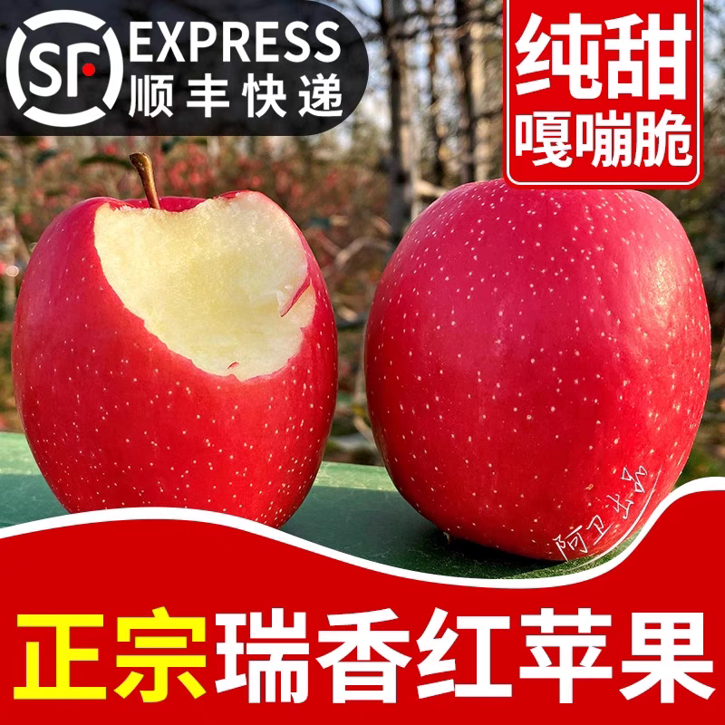 瑞香红苹果纯甜脆爽香气苹果应季当季新鲜水果顺丰图片