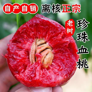 烟台血桃毛桃蜜桃龙血桃子山东特产水果适合孕妇老人整箱5斤包邮