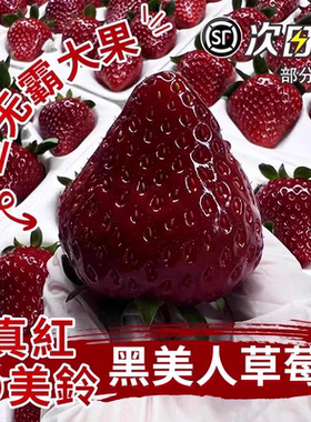【顺丰空运】真红美铃草莓丨黑美人日本黑珍珠黑草莓新鲜水果现摘