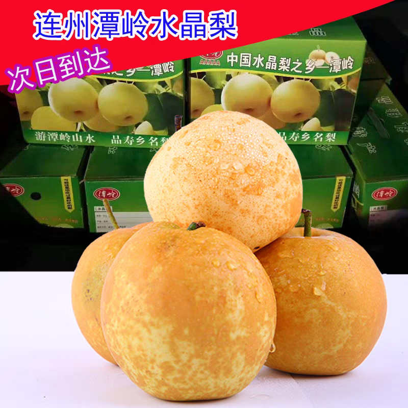 清远连州水晶梨十斤广东特产当季翠冠梨 现季脆冠梨潭岭新鲜5斤10