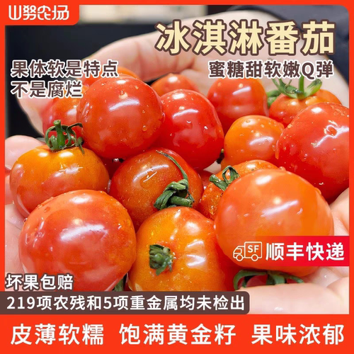【顺丰快递】山努冰淇淋番茄水果西红柿皮薄软嫩多汁生吃小柿子
