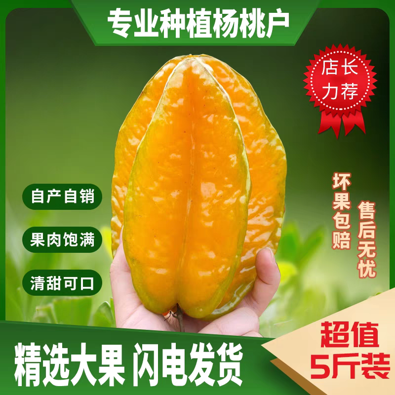海南杨桃新鲜水果当季脆甜多汁孕妇水果