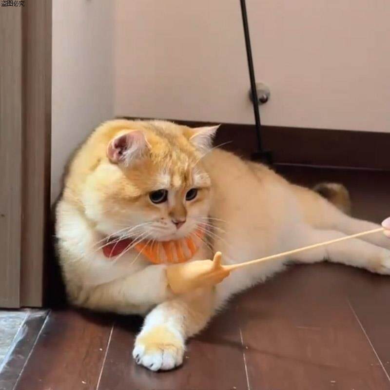 迷你手指套手人手指抖音小猫猫玩具小手手掌小狗小猫咪剪刀手宠物