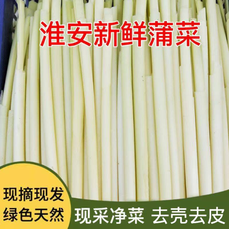 淮安特产蒲菜去壳去皮