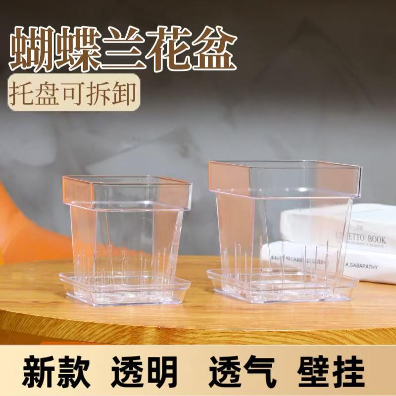 新款蝴蝶兰专用方形塑料花盆
