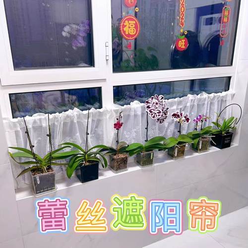 小婵姐同款窗台蕾丝遮阳帘