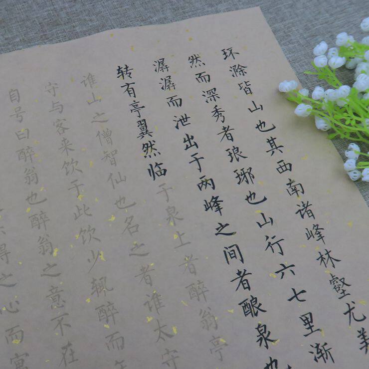 醉翁亭记 小楷字帖临摹描红手工半生熟仿古洒金宣纸毛笔书法练习