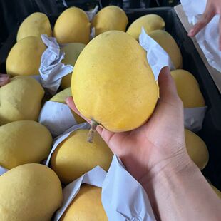 云南圣德龙芒果新鲜应季水果整箱包邮树上熟钻石芒保山潞江坝缅甸