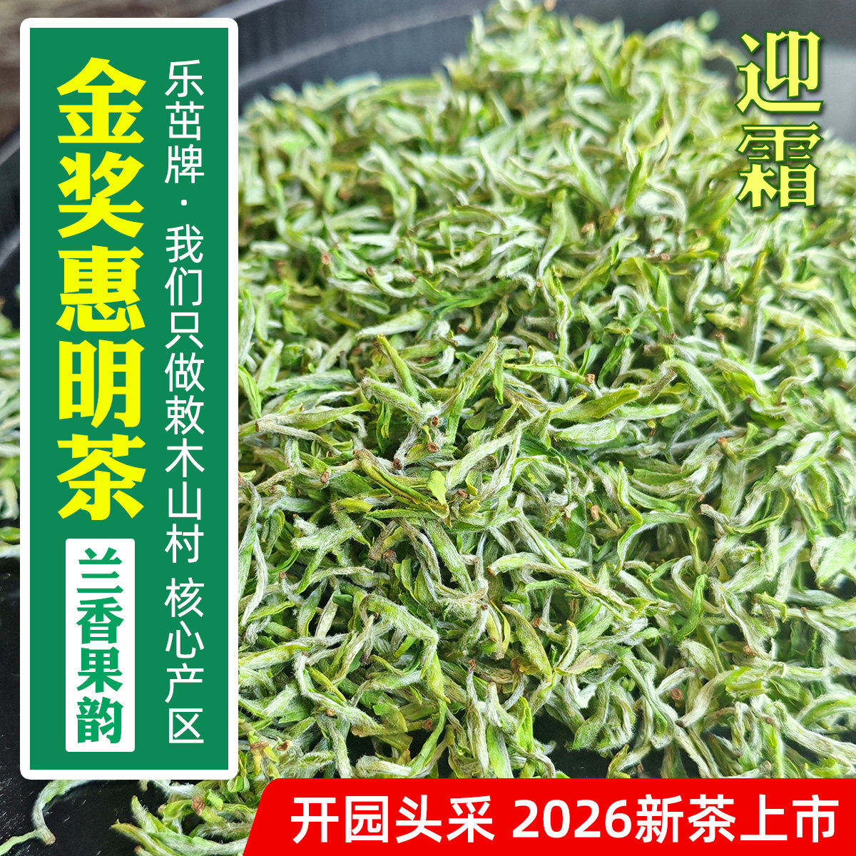 迎霜2026年新茶-兰香果韵【精品头采5优金奖惠明茶】景宁手工绿茶
