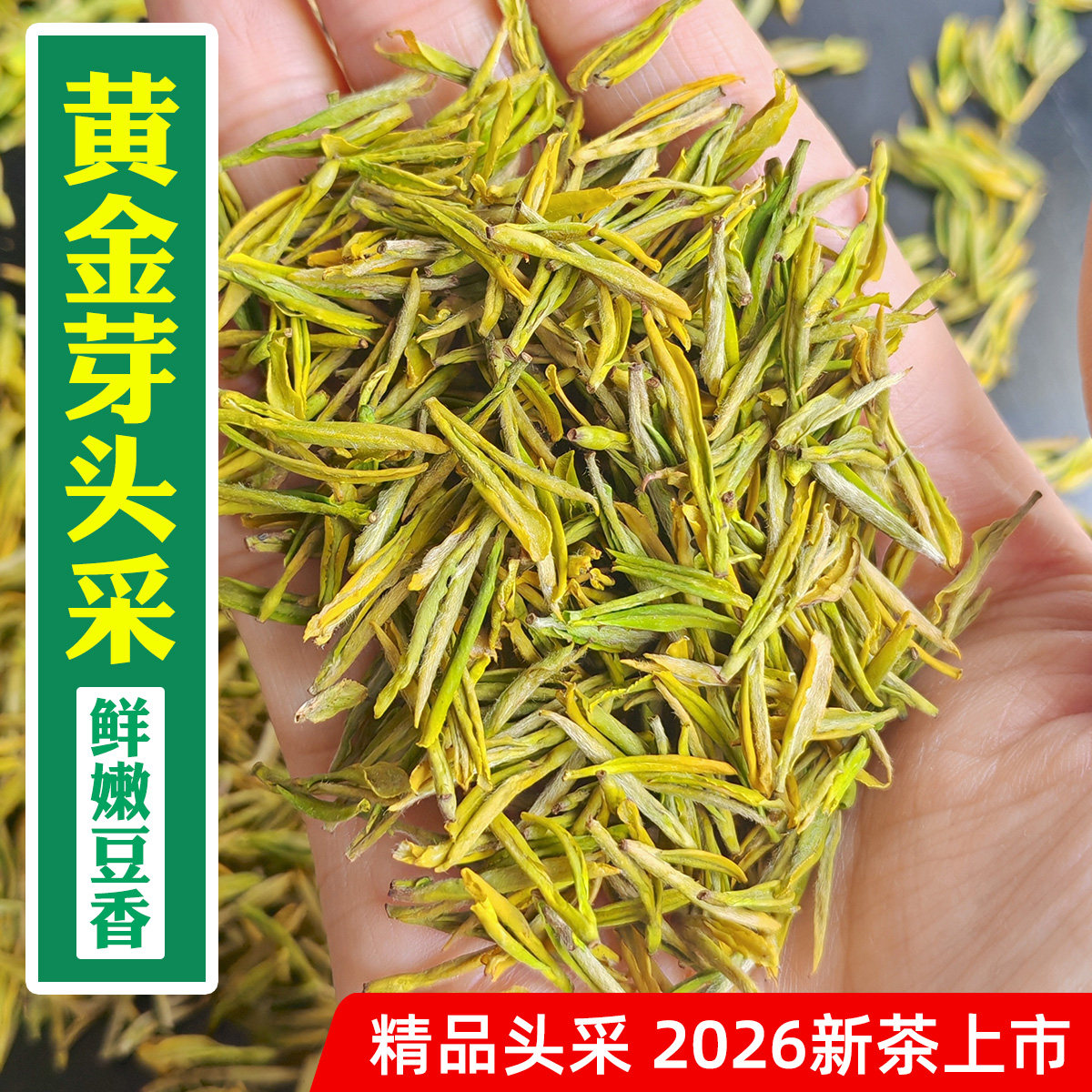 2026年新茶-开园头采5优黄金芽-明前特小芽级安吉正宗黄金白茶叶