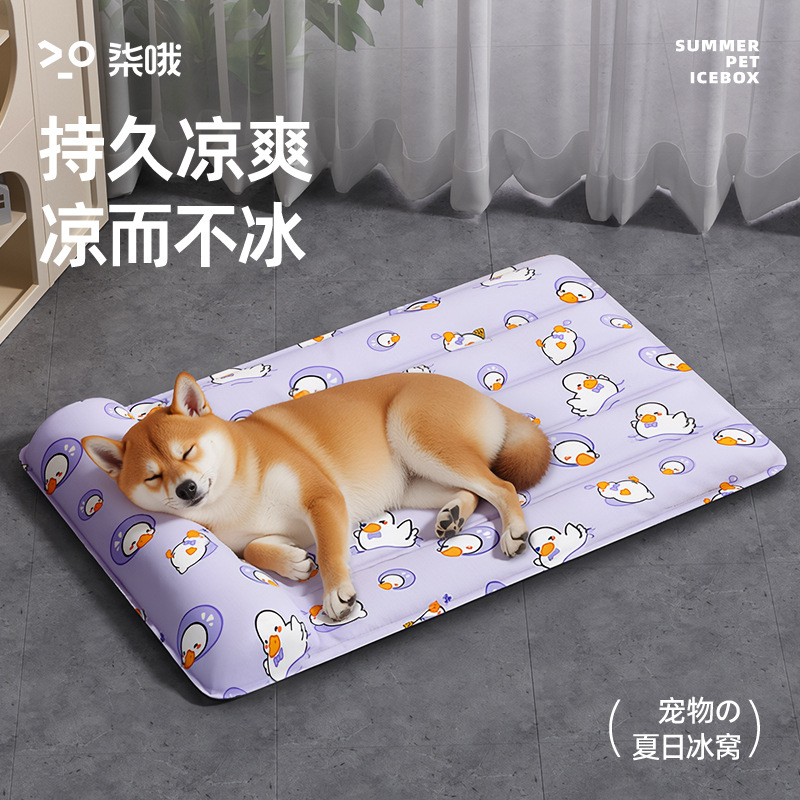 ɫѼӱ桾ͷ40x50 Mߴ ͼѡ ϯӹèļ˯˯潵25.99Ԫ