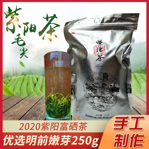 陕西紫阳一级毛尖纯手工250g春茶