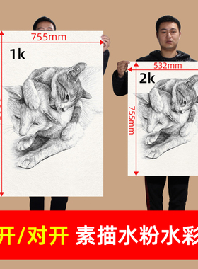 淼犇全开素描纸水粉纸水彩纸加厚画纸1K/2K/A2画画大白纸大号超大一开水粉画学生美术生专用半开对开2开160G