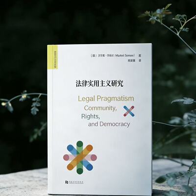 法律实用主义研究   (美)迈克尔·沙利文著 赵英男译 河南大学出版社 实用主义边界译丛