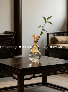 葫芦形花瓶水培禄根花瓶新中式艺术装饰品摆件招财灵草水养器皿