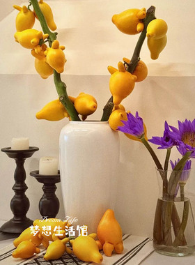 黄金果花瓶五代同堂果陶瓷白色复古玄关民宿酒店干枝水养插干花器