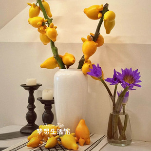 黄金果花瓶五代同堂果陶瓷白色复古玄关民宿酒店干枝水养插干花器